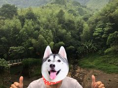 -鸡枕山