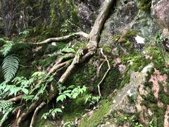 -西岭雪山大飞水景区