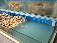 -华府九号海鲜烧烤大排档(龙域店)