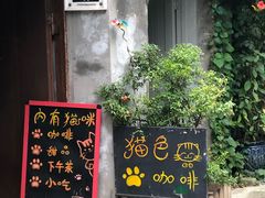 -猫色咖啡·猫咖