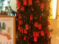 android_upload_pic-泰安东尊华美达广场酒店(泰山景区店)