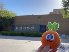 -敦煌市博物馆