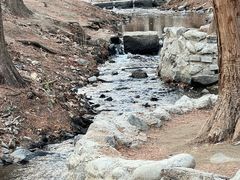 -白水寺森林公园