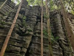 -梭布垭石林景区