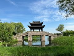 -尚湖风景区