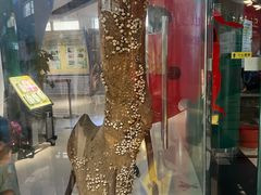 -上海昆虫博物馆