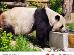 -石家庄市动物园