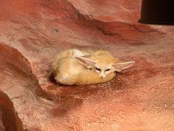 -Zoolung Zoolung动物主题公园(海信广场店)