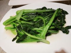 -芙蓉凰花园酒楼