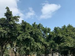 -四川大学(望江校区)