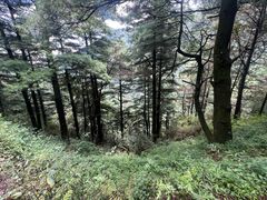 -苍山感通索道