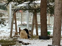 -西安秦岭野生动物园