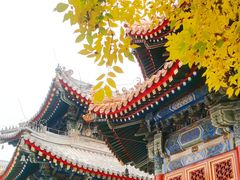 -北京艺术博物馆(万寿寺)