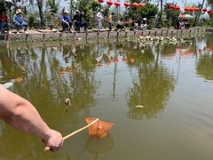 -同銮特种养殖场·龙虾垂钓