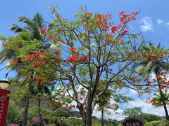 -三亚南山文化旅游区