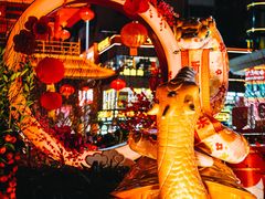 -越秀西湖花市(广州城市广场花卉店)