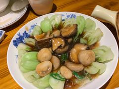 双菇菜心-兴农记