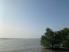 -宝安西湾红树林湿地公园