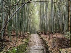 -会稽山峡洞漂流-上青古道