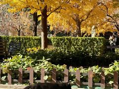 -北京石刻艺术博物馆(五塔寺)