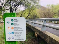 -西湖风景区-江洋畈生态公园