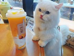 -阿嬷手作(上海万象城店)