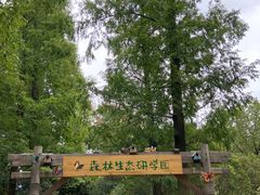 -东平国家森林公园