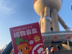 -东方明珠广播电视塔