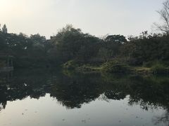 -西湖外事游船(花港观鱼码头)