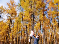 -塞罕坝国家级自然保护区