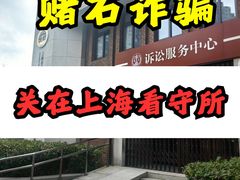 -上海诚本律师事务所·刑事辩护团队