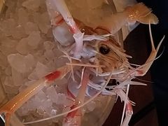 -斯普汇生蚝牛排馆(中骏世界城店)