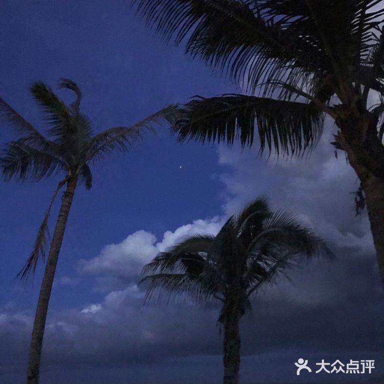 🏝一起来三亚呆呆岛发呆吧