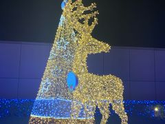 -影汇之星8字形摩天轮