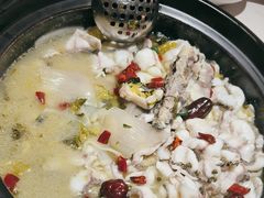 -周渝食惦酸菜鱼(青浦店)