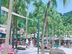 -重庆海昌加勒比海水世界