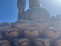 -龙口南山旅游景区