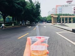 -西南政法大学(渝北校区)