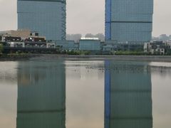 -青岛西海岸隆和福朋喜来登酒店
