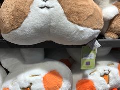 -酷乐潮玩(凯德MALL西直门店)