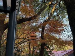 -中国茶叶博物馆(双峰馆区)