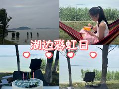 -西京湾花海