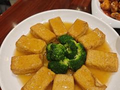 -金龙寨(解西店)