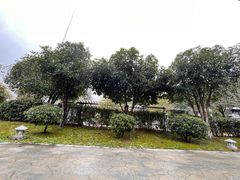 -三江森林温泉度假区