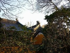 -灵谷景区