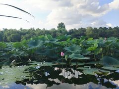 -长春市南湖公园