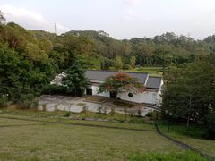 -谷丰健康凤贤居酒家