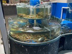 -四海蒸鲜蒸汽海鲜自助(北戴河店)