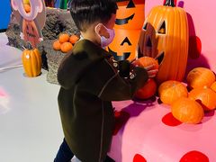 -泉城欧乐堡海洋极地世界