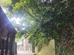 -桃花岛风景旅游区
